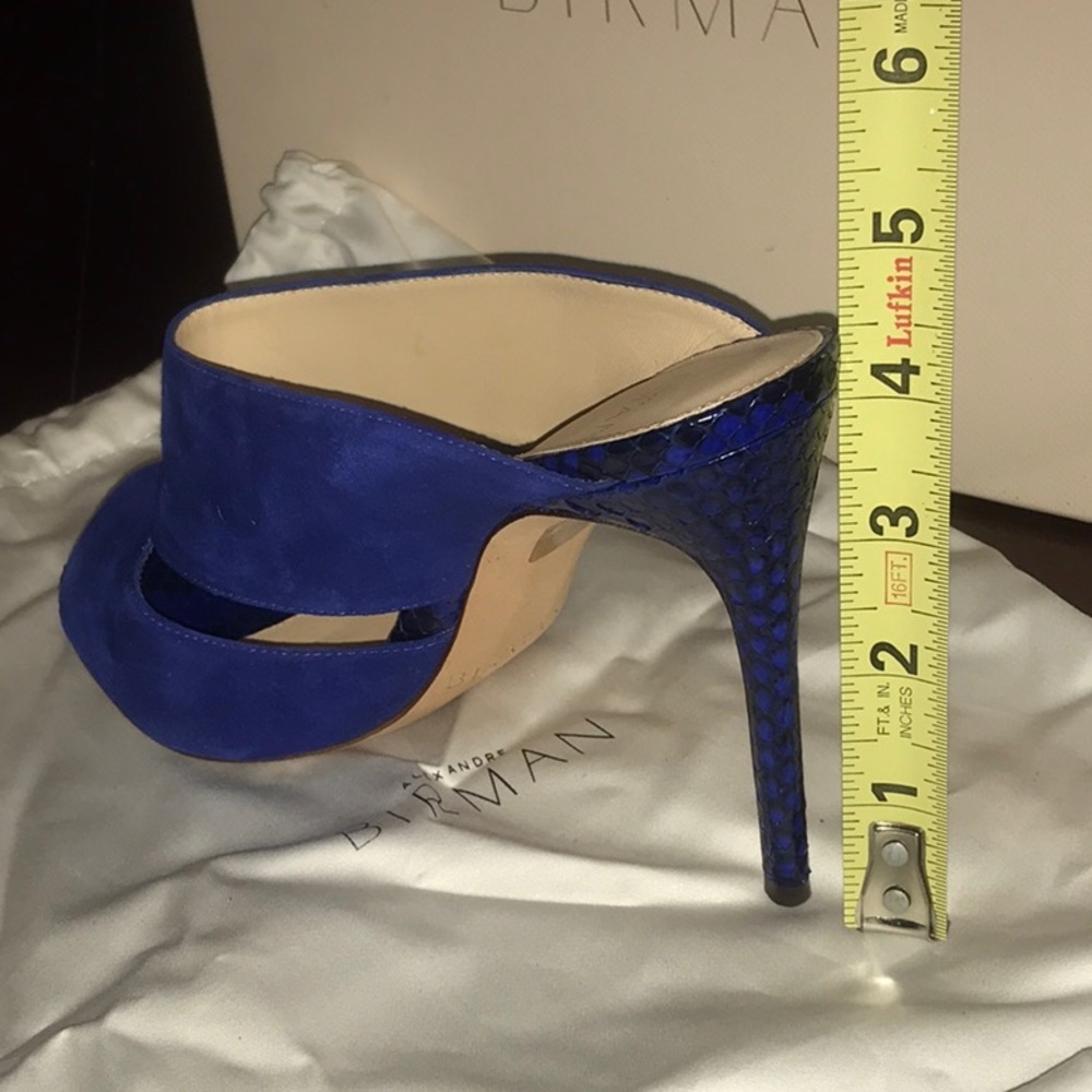 Alexandre Birman Python Mules - image 3